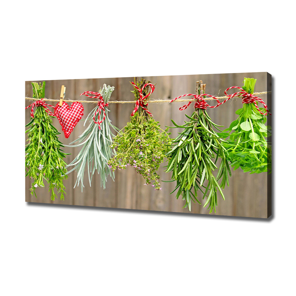 Canvas wall art Herbs on a string