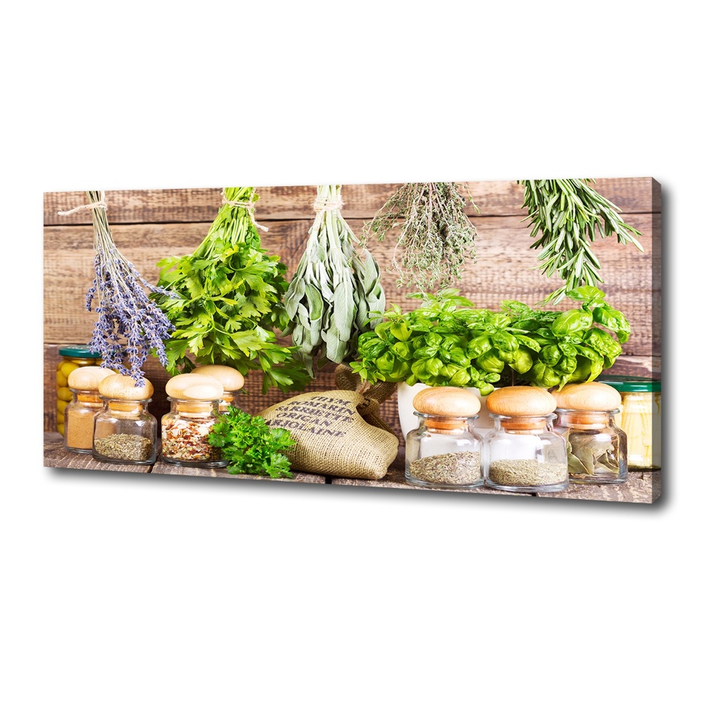 Canvas wall art Herbs on a string