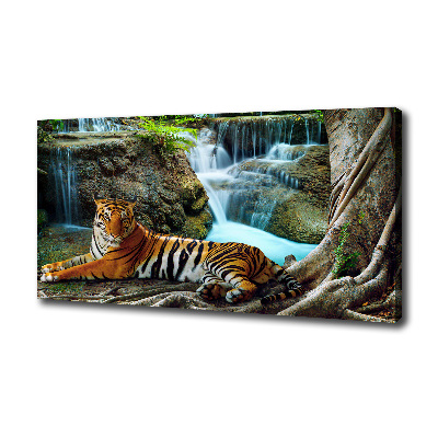 Canvas wall art Waterfall tiger