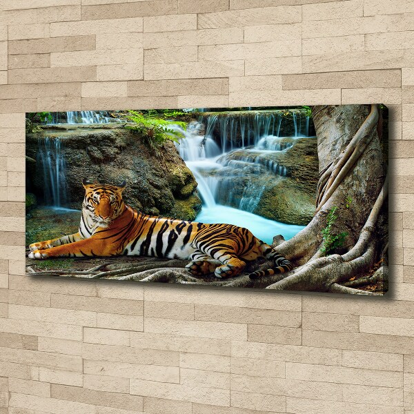 Canvas wall art Waterfall tiger