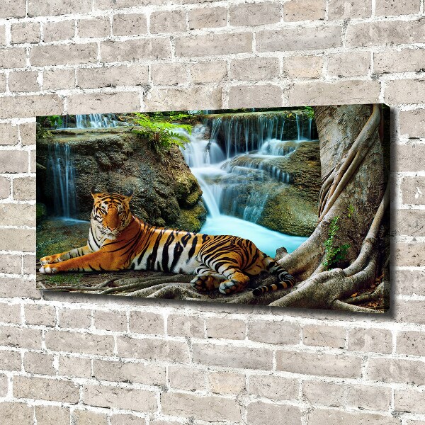 Canvas wall art Waterfall tiger