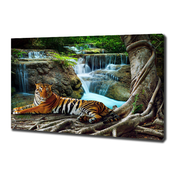 Canvas wall art Waterfall tiger