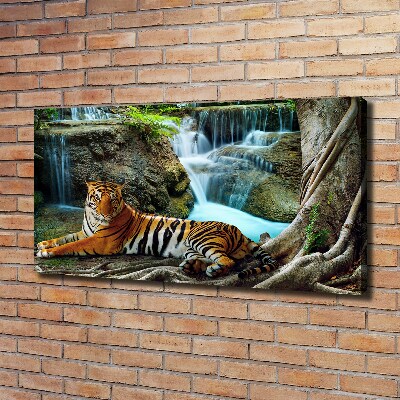 Canvas wall art Waterfall tiger