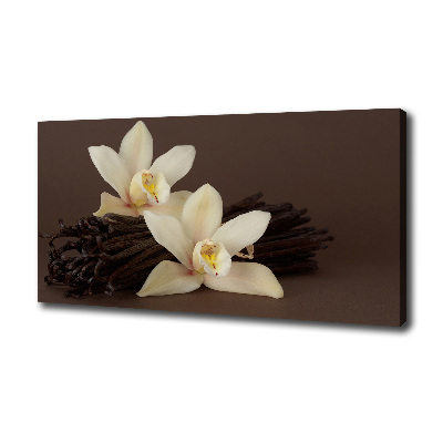 Canvas wall art Vanilla sticks