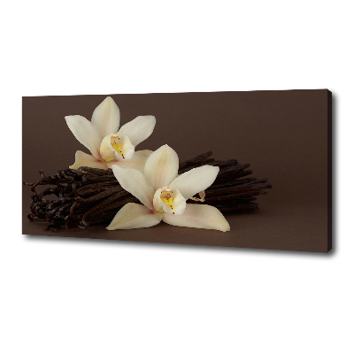 Canvas wall art Vanilla sticks