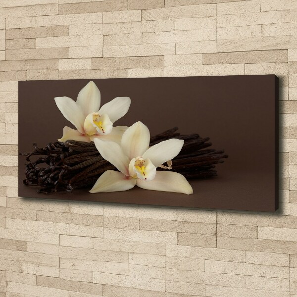 Canvas wall art Vanilla sticks