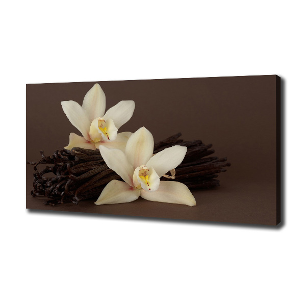 Canvas wall art Vanilla sticks