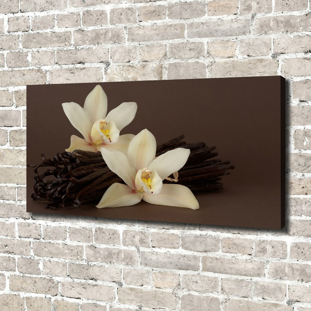 Canvas wall art Vanilla sticks