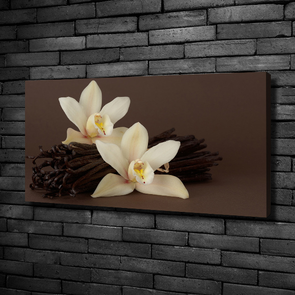 Canvas wall art Vanilla sticks