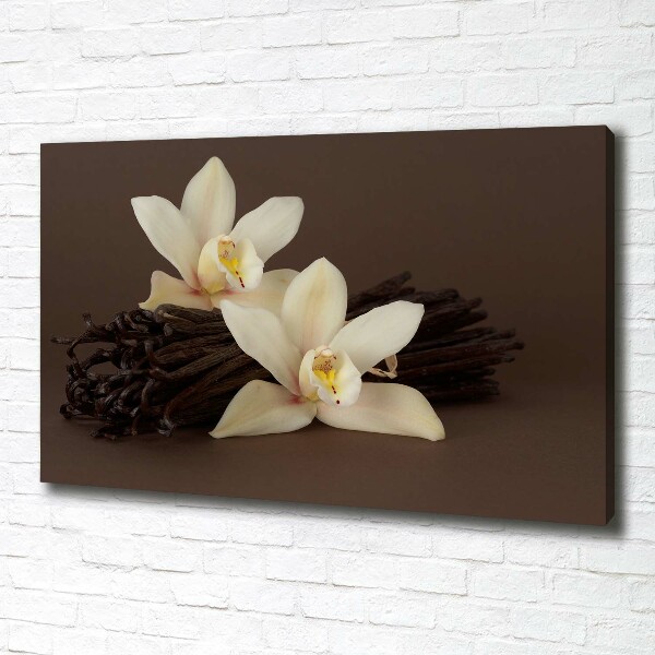 Canvas wall art Vanilla sticks