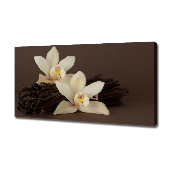 Canvas wall art Vanilla sticks