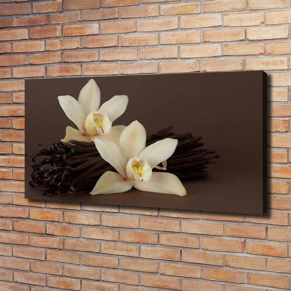 Canvas wall art Vanilla sticks