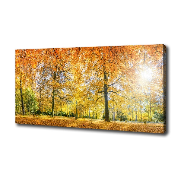 Canvas wall art Forest in autumn