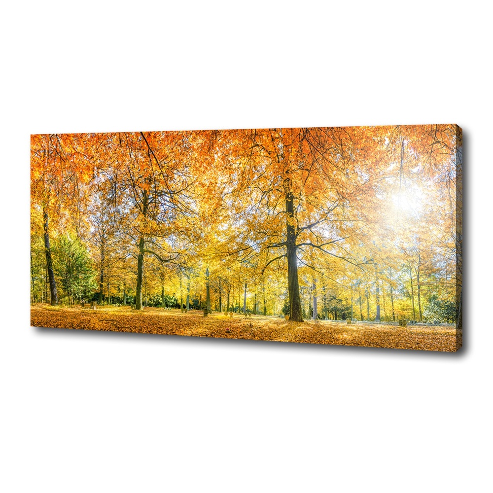 Canvas wall art Forest in autumn