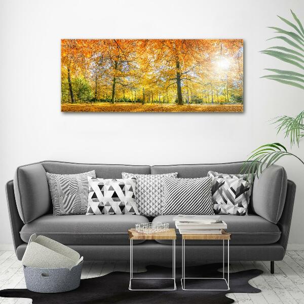 Canvas wall art Forest in autumn