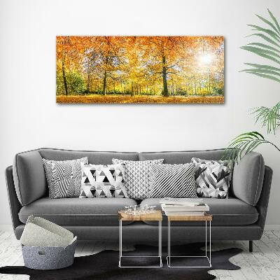 Canvas wall art Forest in autumn