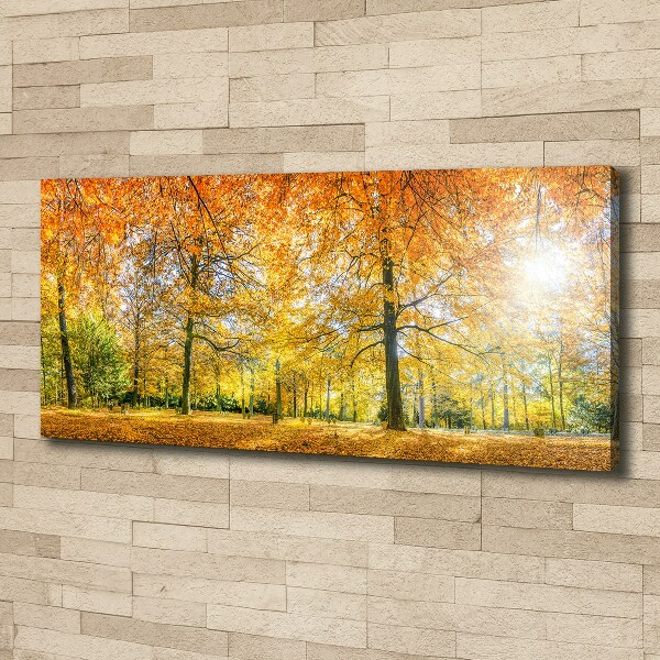 Canvas wall art Forest in autumn