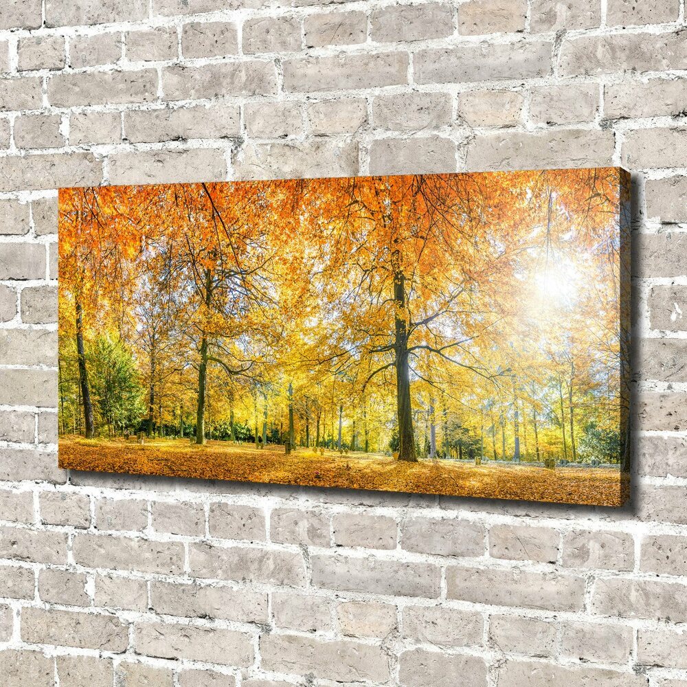 Canvas wall art Forest in autumn