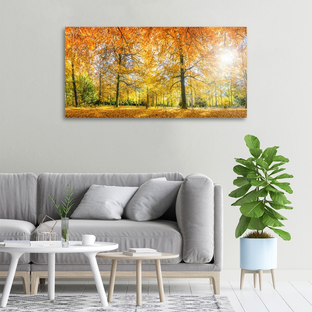 Canvas wall art Forest in autumn