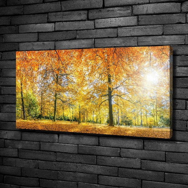 Canvas wall art Forest in autumn