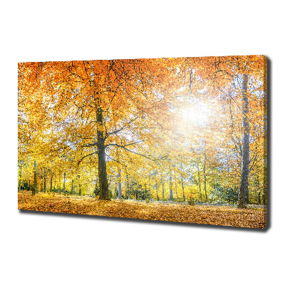 Canvas wall art Forest in autumn