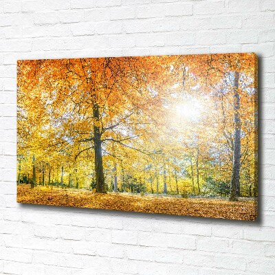 Canvas wall art Forest in autumn