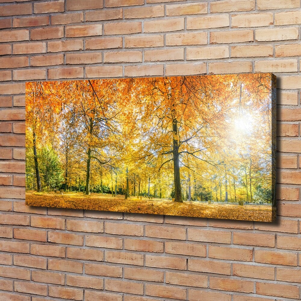 Canvas wall art Forest in autumn