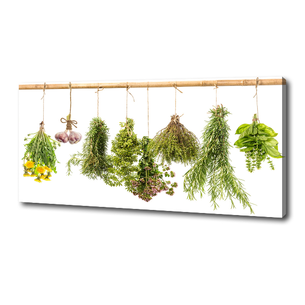 Canvas wall art Herbs on a string