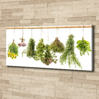 Canvas wall art Herbs on a string