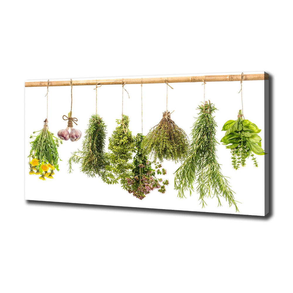 Canvas wall art Herbs on a string