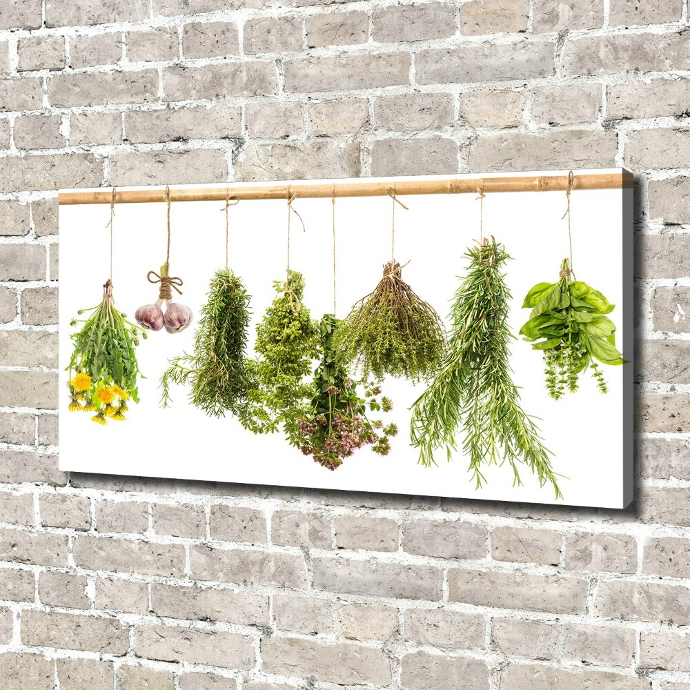 Canvas wall art Herbs on a string