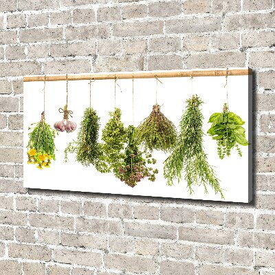 Canvas wall art Herbs on a string