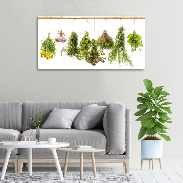 Canvas wall art Herbs on a string