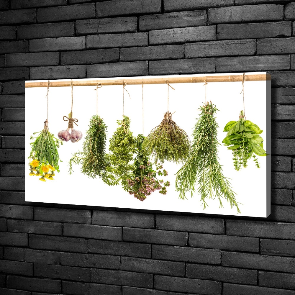 Canvas wall art Herbs on a string