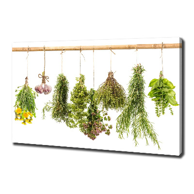 Canvas wall art Herbs on a string