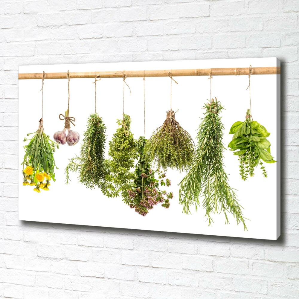 Canvas wall art Herbs on a string