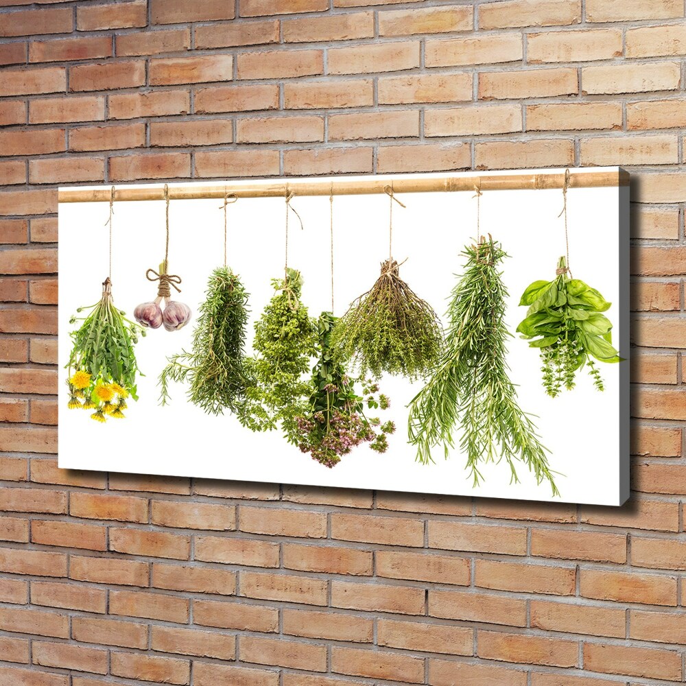 Canvas wall art Herbs on a string