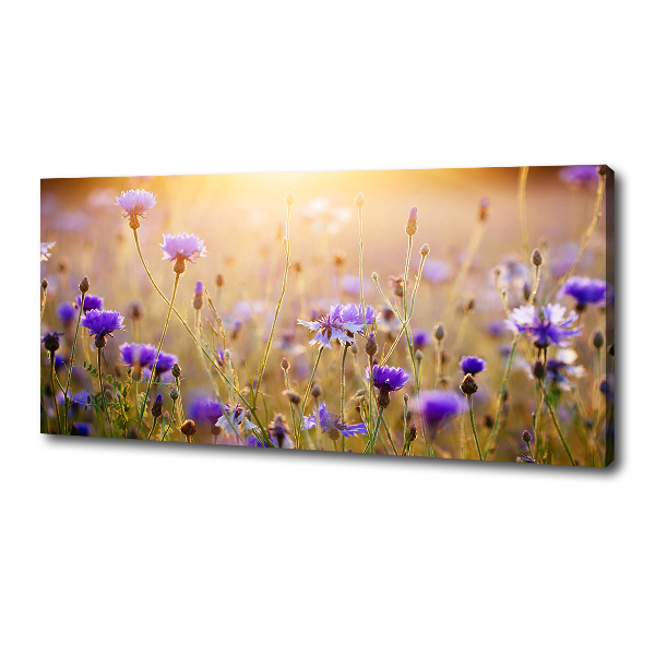 Canvas wall art Field flowers