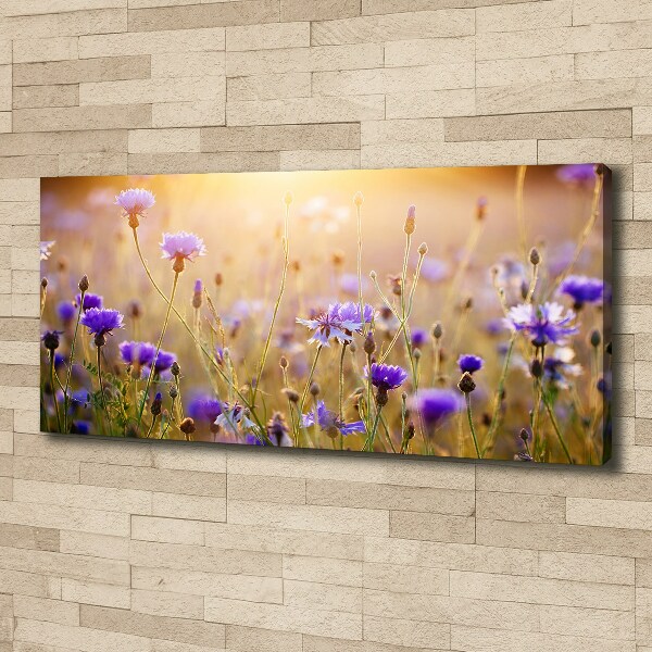 Canvas wall art Field flowers