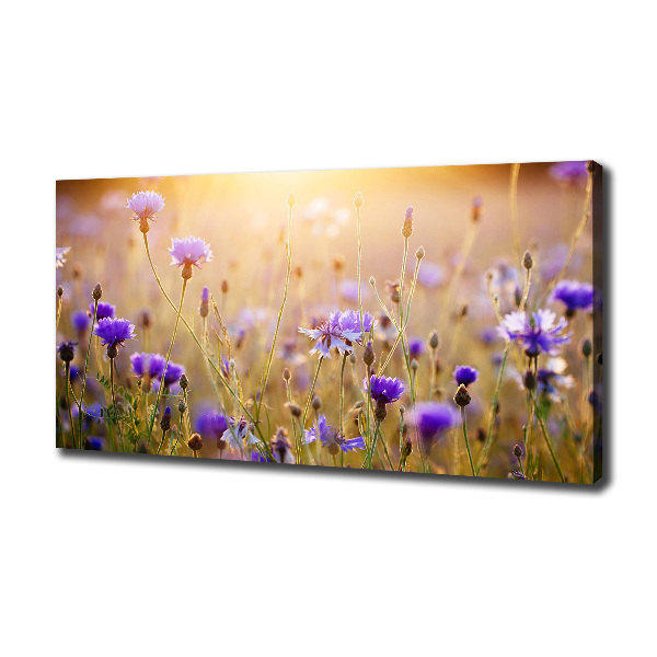 Canvas wall art Field flowers