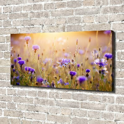 Canvas wall art Field flowers