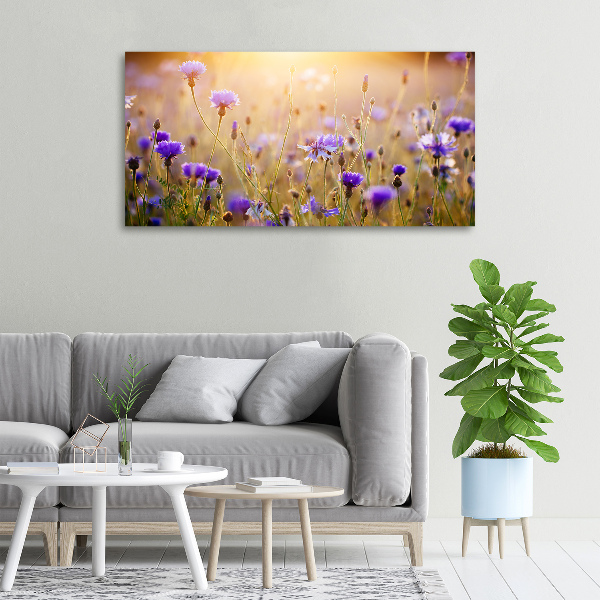 Canvas wall art Field flowers