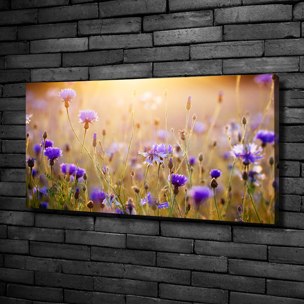 Canvas wall art Field flowers