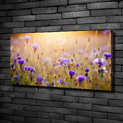 Canvas wall art Field flowers