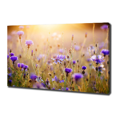 Canvas wall art Field flowers