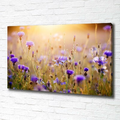 Canvas wall art Field flowers