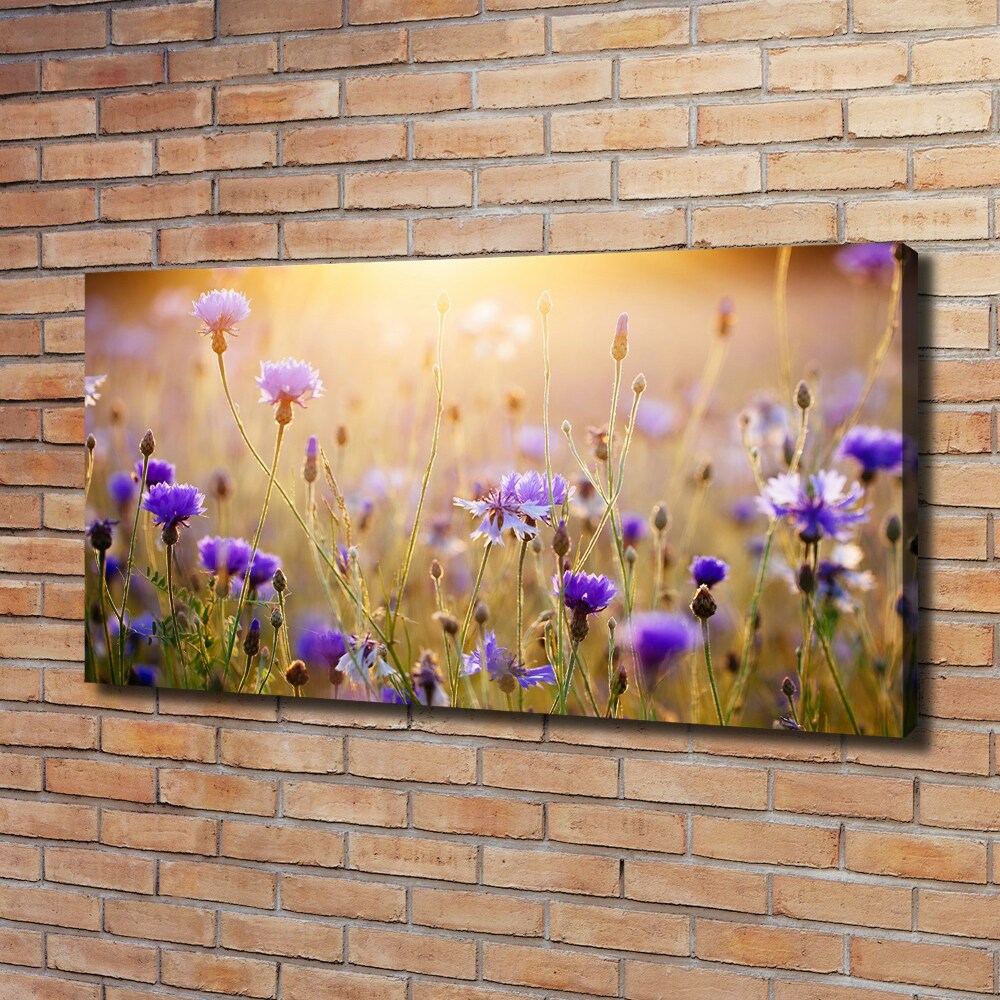 Canvas wall art Field flowers