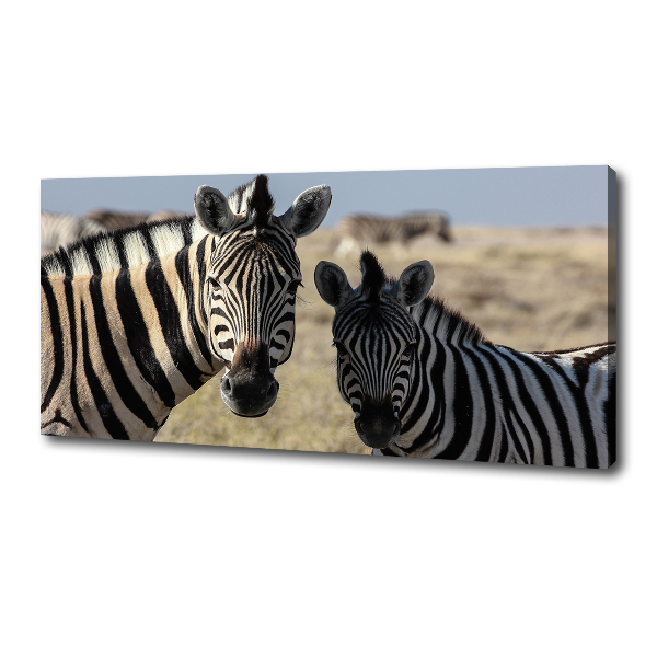 Canvas wall art Two zebras