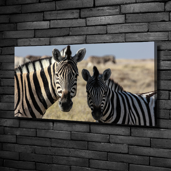 Canvas wall art Two zebras