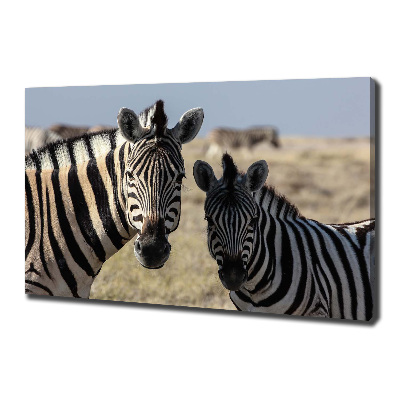 Canvas wall art Two zebras